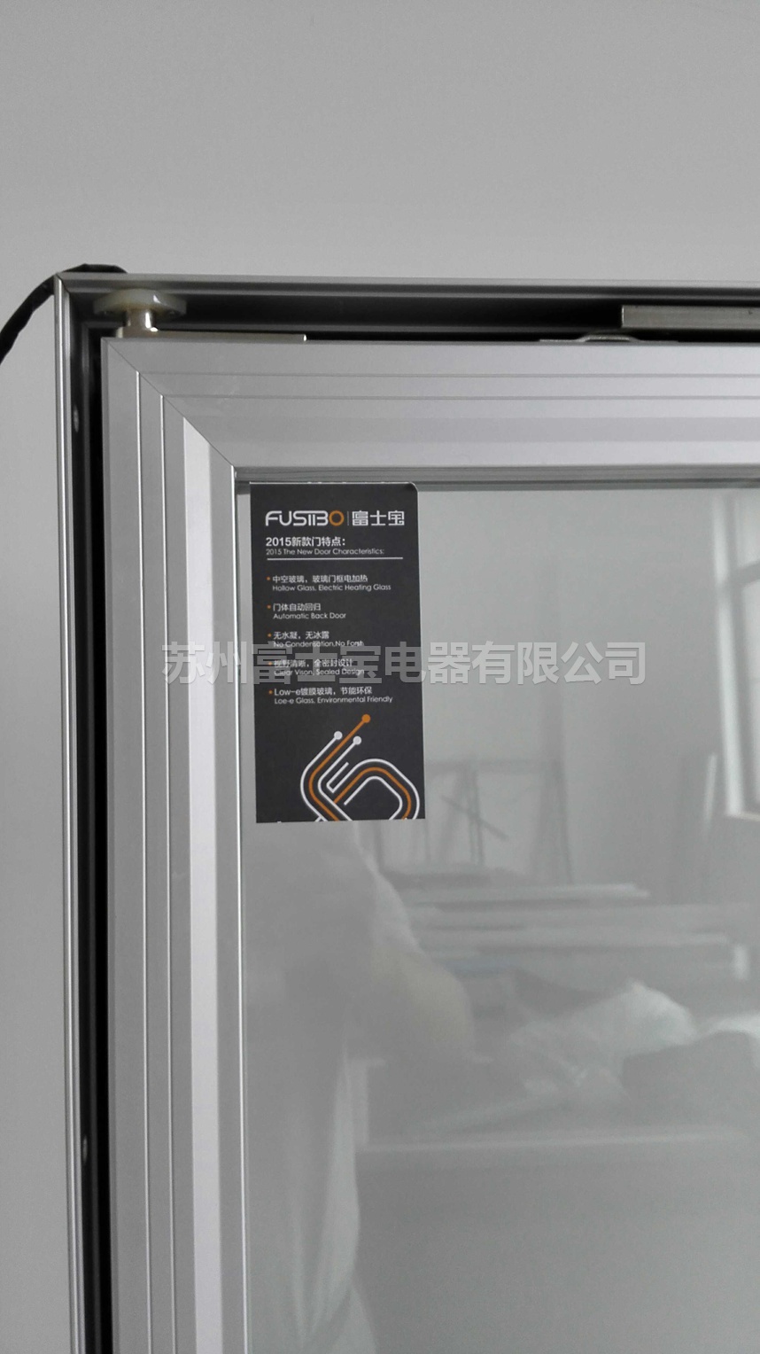Refrigerator with hollow glass door